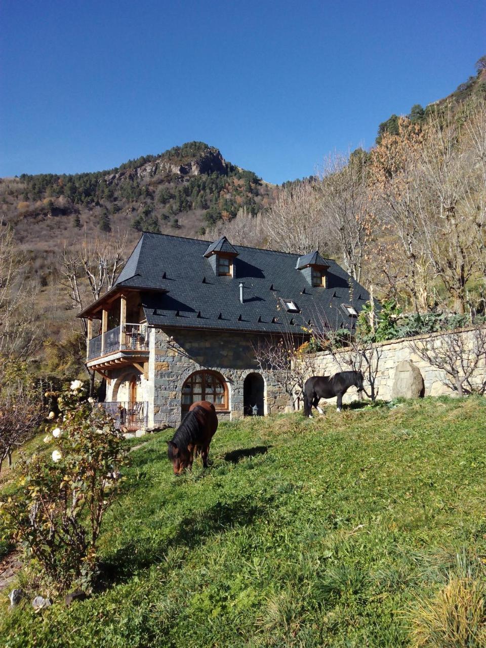 Casa Rural Fontamil Gistaín Εξωτερικό φωτογραφία